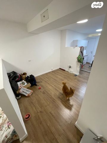 דירה, זלמן שניאור, לב תל אביב, לב העיר צפון, תל אביב יפו