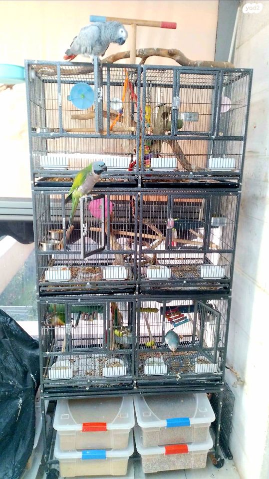 אביזרים | כלוב