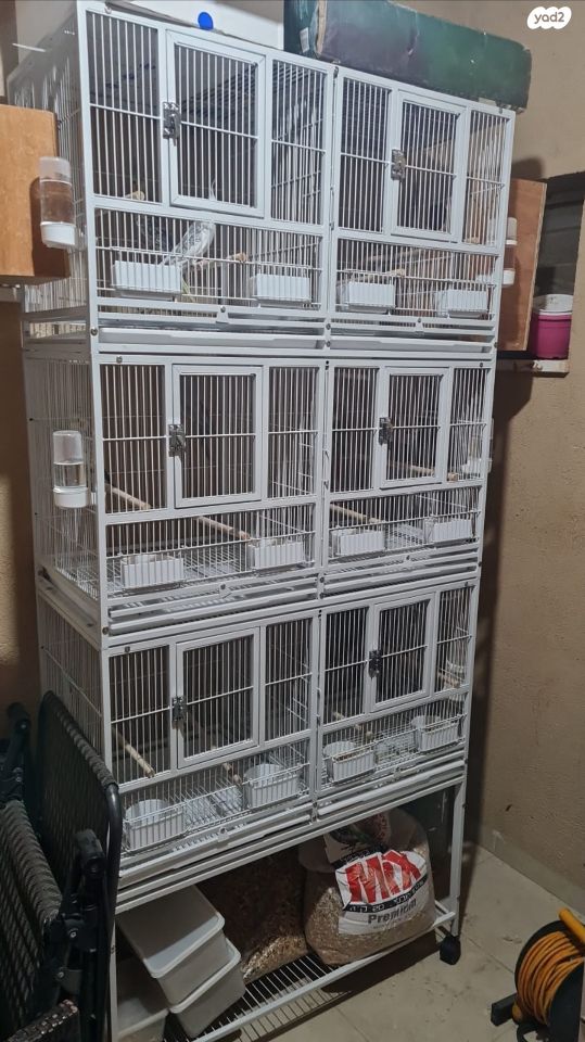 אביזרים | כלוב