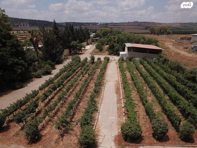 משק חקלאי/ נחלה, כפר יחזקאל