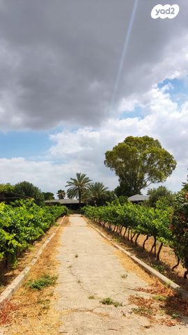 משק חקלאי/ נחלה, כפר יחזקאל