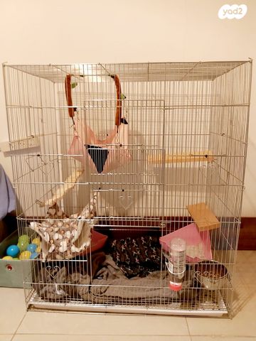 אביזרים | כלוב