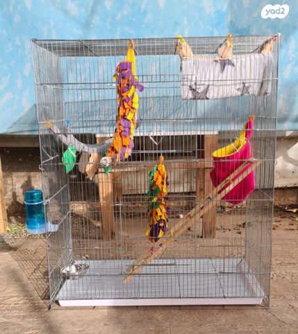 אביזרים | כלוב