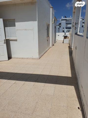רמב"ם
