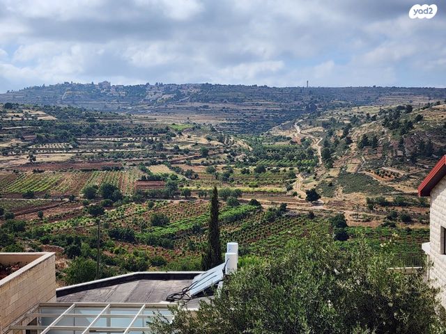 דקל