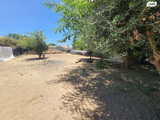 שדרות העצמאות 