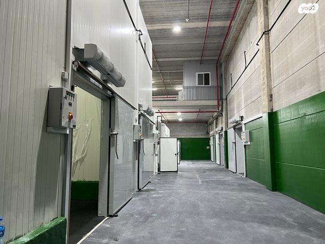 כללי, גן שורק