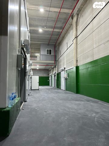 כללי, גן שורק