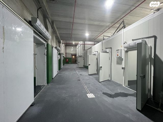 כללי, גן שורק