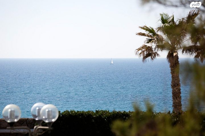 דירה, אלי לנדאו, הרצליה פיתוח, הרצליה