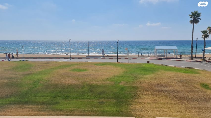 נחום סוקולוב 