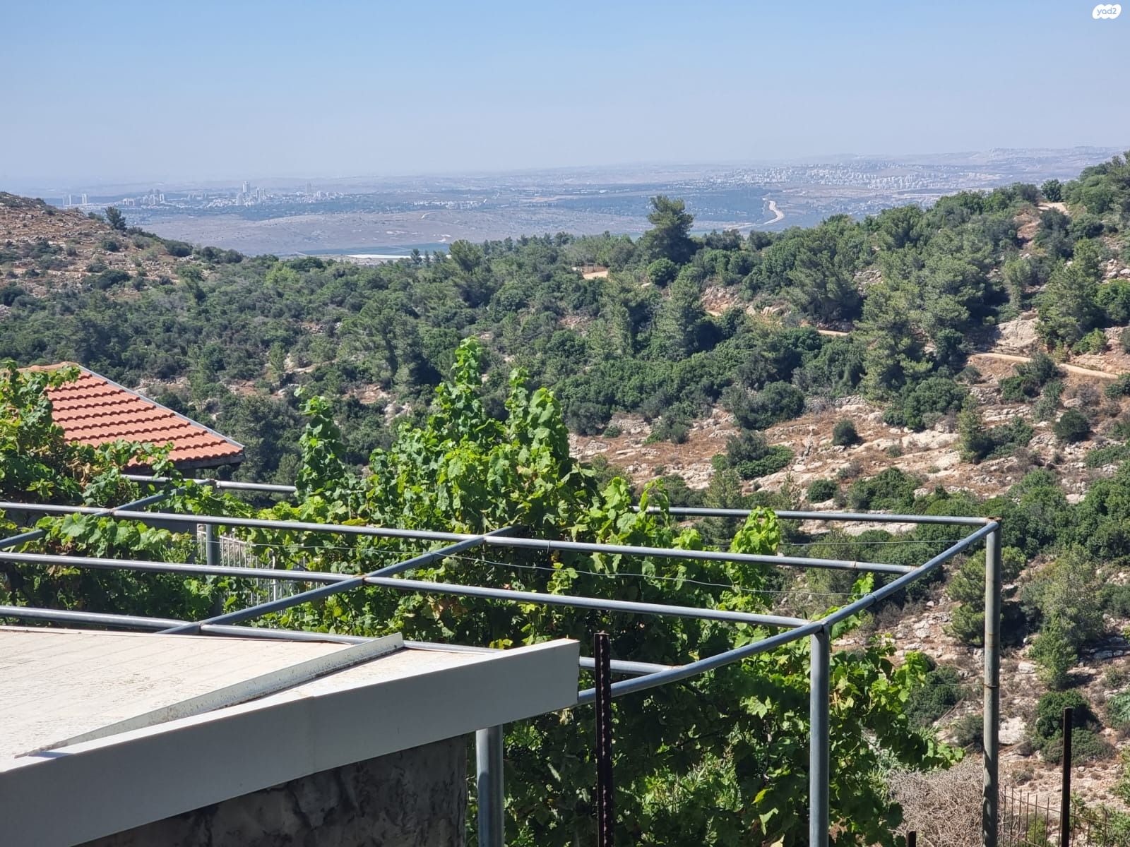 השקד 