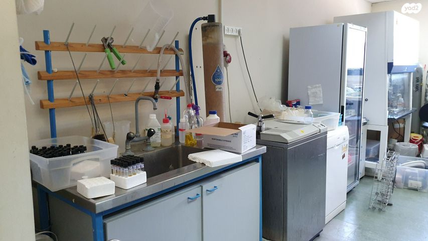 משרדים, רחובות