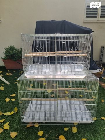 תמונת מודעה - חיות מחמד