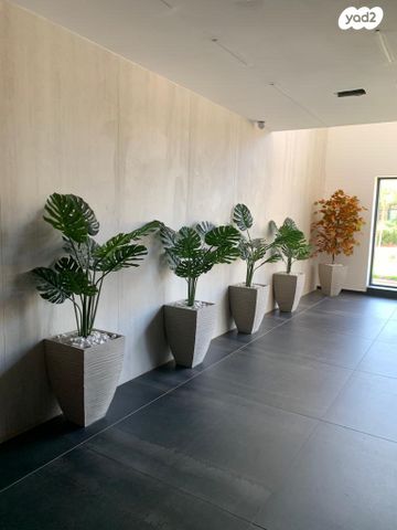 דירה, שאול המלך 12, יד אליעזר, נס ציונה