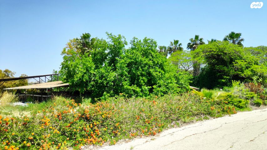 משק חקלאי/ נחלה, אומץ, אומץ