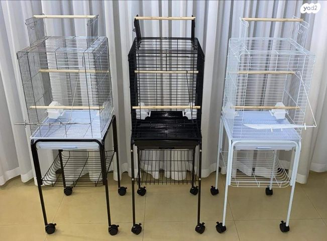 תמונת מודעה - חיות מחמד