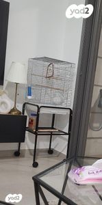 אביזרים | כלוב האכלת יד