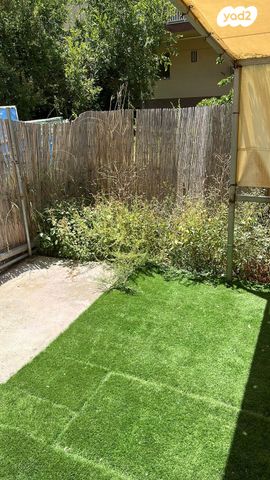 דירה, צה"ל, קרית אליעזר, חיפה