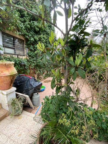 דירת גן, יורדי הסירה, קטמון הישנה, ירושלים
