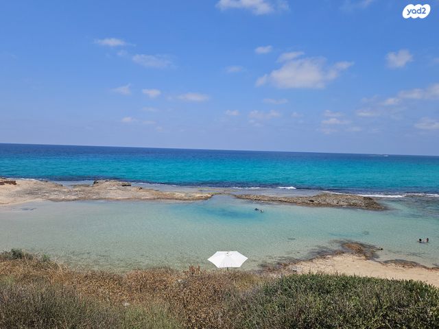 מגרשים