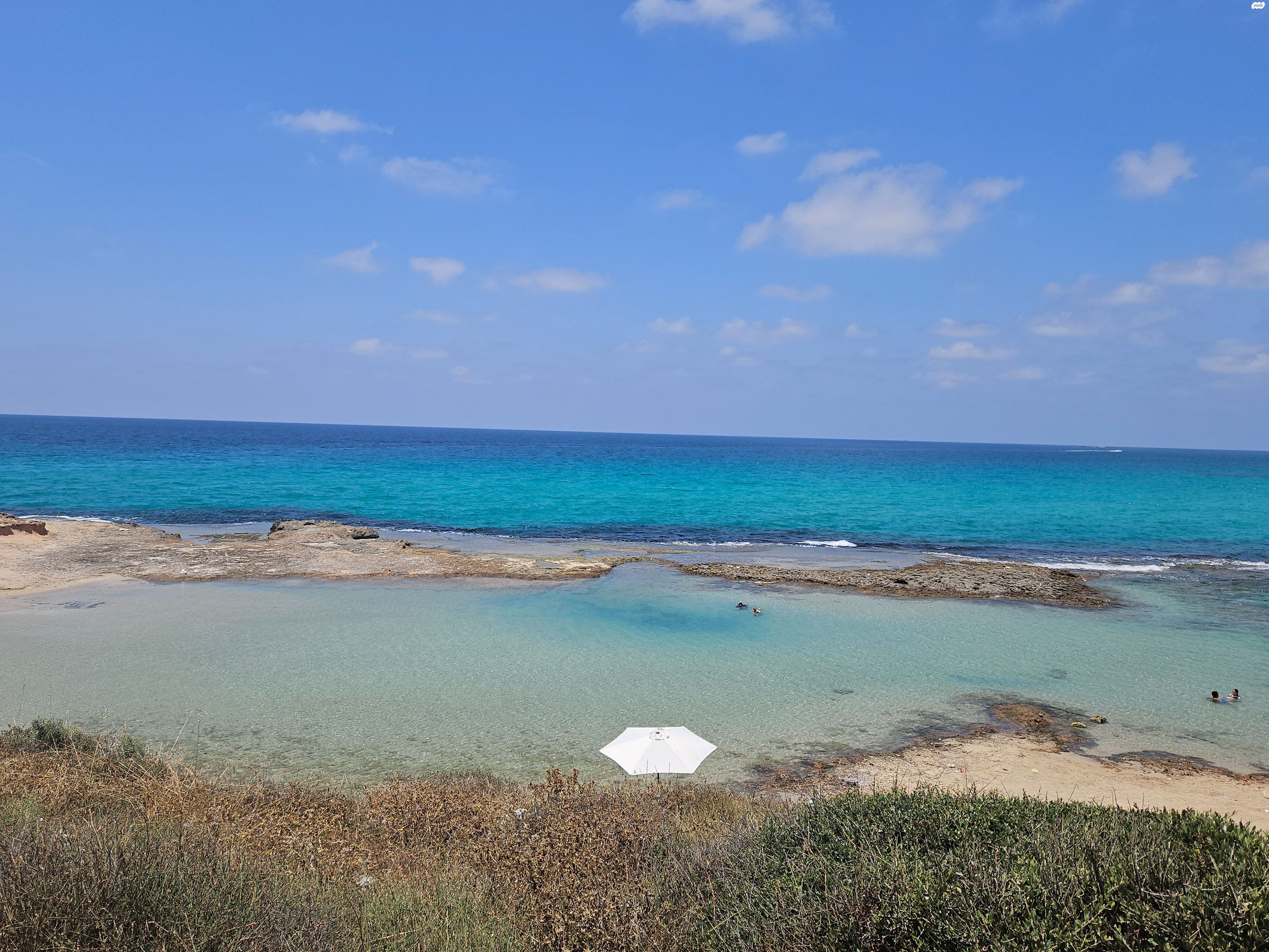 מגרשים