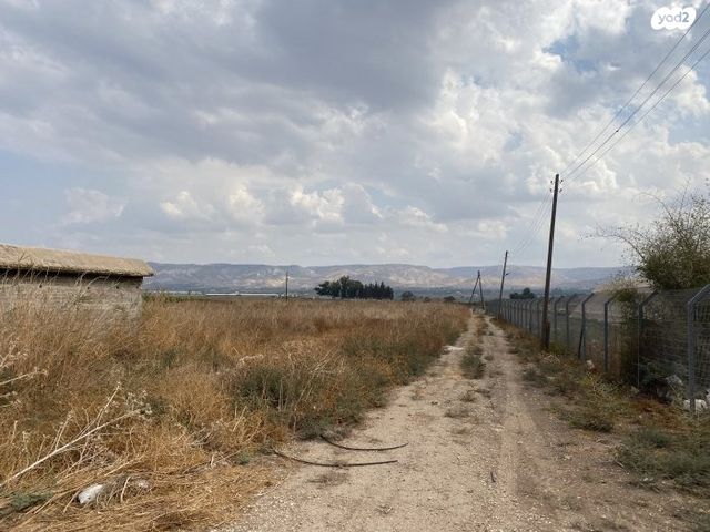 משק חקלאי/ נחלה, ירדנה