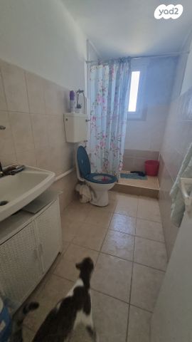 דירה, ביל"ו 20, יל"ג, חיפה