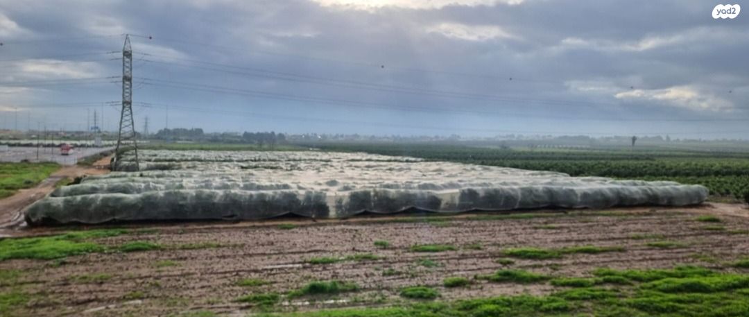 בית פרטי/ קוטג', בית דגן