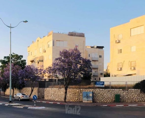 אהרון ציזלינג 