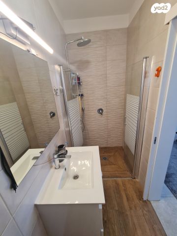 גג/ פנטהאוז, עבודה, אברמסקי, קרית אתא