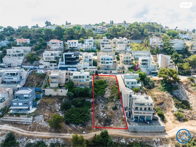 מגרשים, המושבה, זכרון יעקב