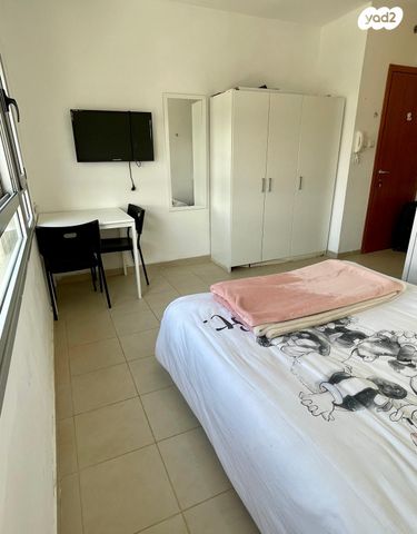 אלכסנדר ינאי 17