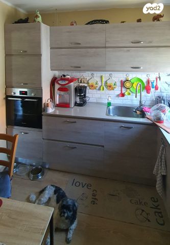 דירה, ההגנה 41, יצחק רבין, מעלות תרשיחא