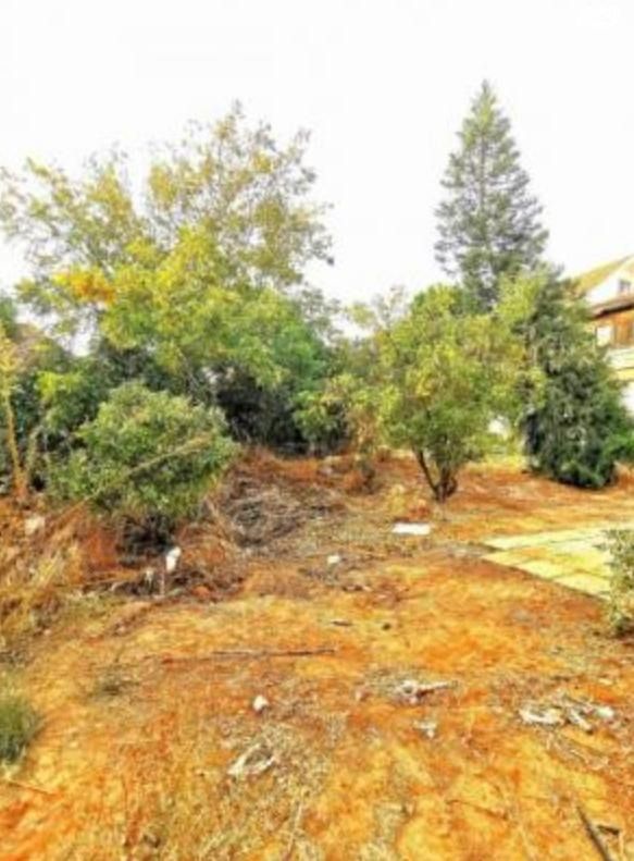 מגרשים, רמת הדר, הוד השרון