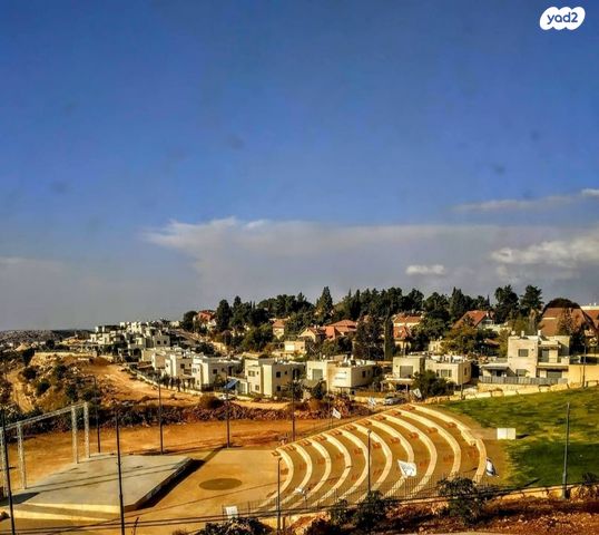 מורן 