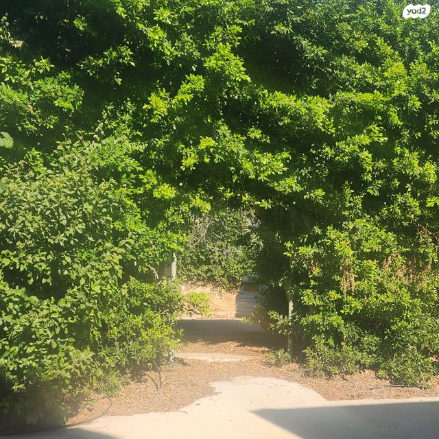 משק חקלאי/ נחלה, נוף תבור, אילניה