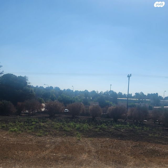 משק חקלאי/ נחלה, נוף תבור, אילניה