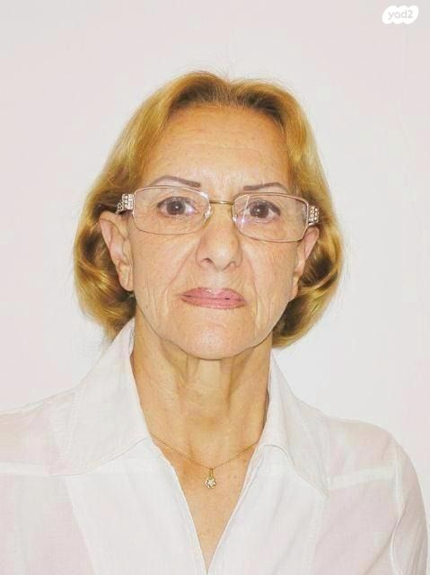 מגרשים