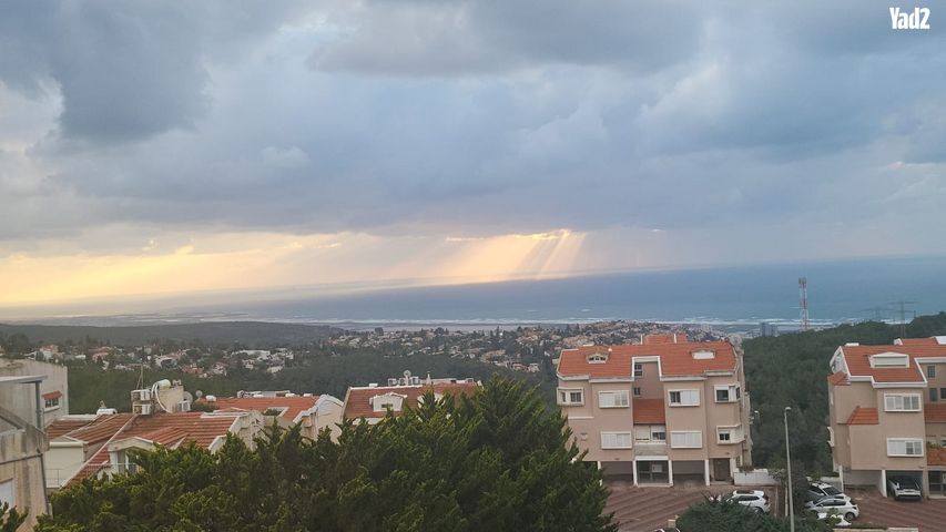 לסקוב 