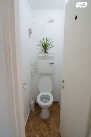 דירה, האורן, נשר