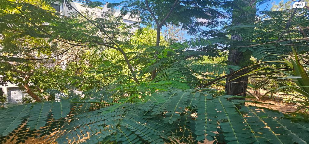 דירת גן, אלון, רמת השרון