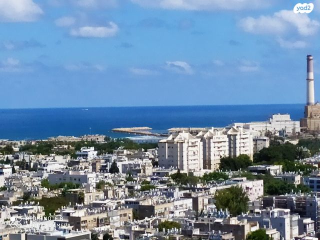 דירה, פנקס, הצפון החדש - כיכר המדינה, תל אביב יפו