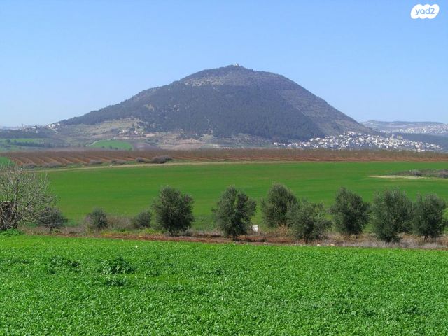 משק חקלאי/ נחלה