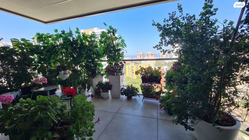 דירה, רקנאטי, רמת אביב ג', תל אביב יפו