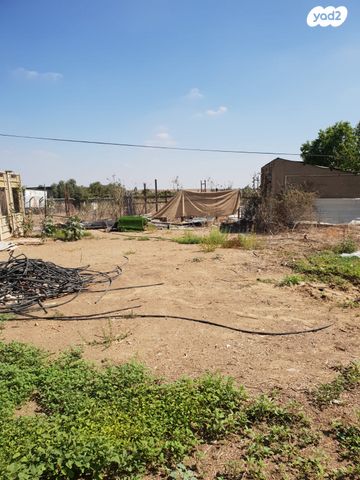 משק חקלאי/ נחלה, שדה צבי