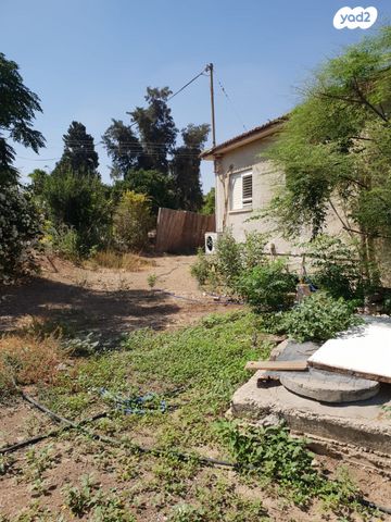 משק חקלאי/ נחלה, שדה צבי