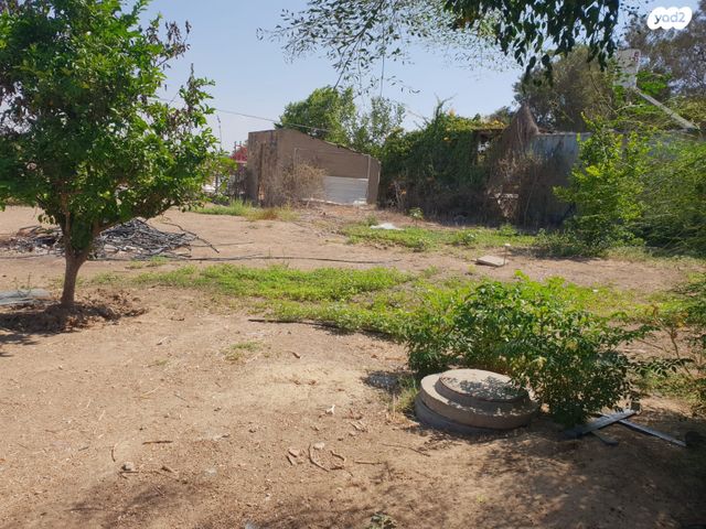 משק חקלאי/ נחלה, שדה צבי