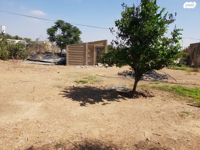 משק חקלאי/ נחלה, שדה צבי