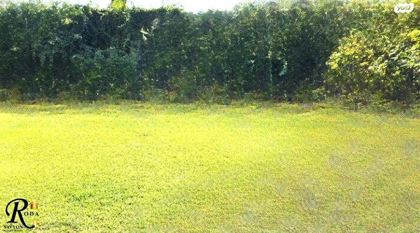 בית פרטי/ קוטג', סביון